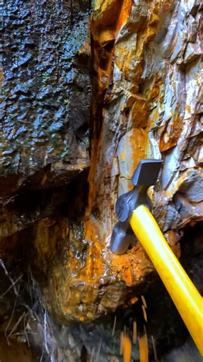 jade hunting in the interior of the Sumatran forest #fblifestyle | Gemstone Explorers