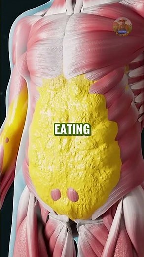 👉 14 Days Watermelon Challenge