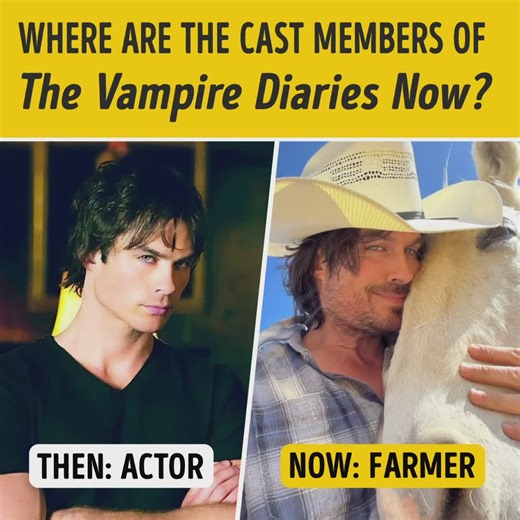 58K views · 272 reactions | Where Are the Cast Members of The Vampire Diaries Now? | Bright Side | Facebook