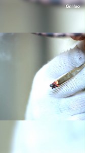 26K views · 88 reactions | Zur Teil-Legalisierung von Cannabis sind immer noch viele Fragen offen. Was möchtest du noch wissen? #Galileo #reel #cannabis | Galileo | Facebook