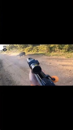 Wild Boar Tracking & Hunt – Step-by-Step Adventure