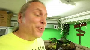 59K views · 1.8K reactions | My boy RJ, our three-legged alligator,...