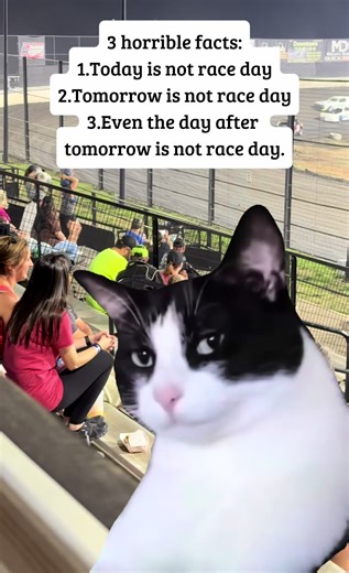 #race #dirttrack #racing #racecar #humor | car