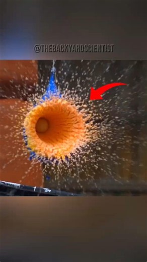 How strong is Oobleck really? Watch it face a bear trap. #science #oobleck #shorts