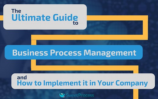What Is Business Process Management? ( Types and Examples)