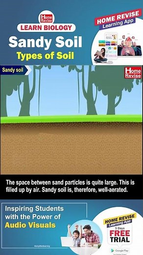Sandy Soil | Types of Soil