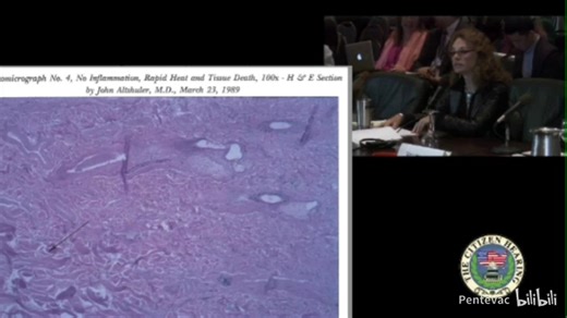 公民UFO揭露听证会May 1st 2013 Night Lectures 1, The Citizen Hearing on UFO Disclosure