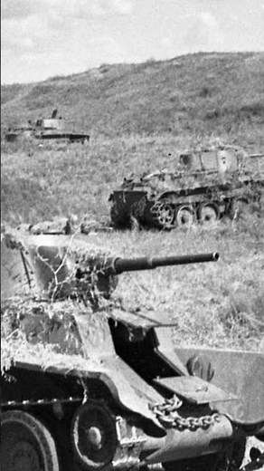 ⚔️ Why Germany and Japan Fought Alone ⚔️#WorldWarII #AxisPowers #Military #WW2History #HistoryShorts