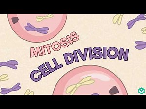 Cell Cycle - Mitosis | Reproduction | Class 10 | Biology | Telangana | Khan Academy