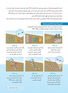 يتركب الكروموسوم كيميائيا من حمض نووي يعبر عنه بالاختصار DNA ملتف حول نوع من البروتينات يعرف بالهستونات  نشوى حسن  - الصفات الوراثية والطفرات - العلوم2 - أول اعدادي - المنهج المصري