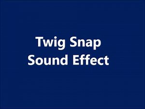 Twig Snap Sound Effect