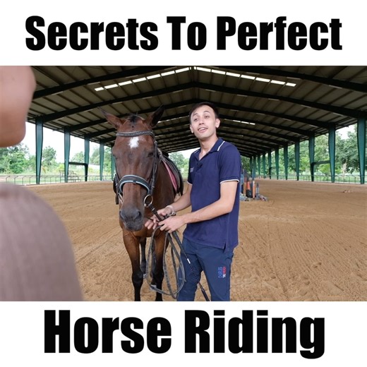 To all horse riders and non-riders! BIG THANKS to the North Star Equestrian Centre in Korat for letting us film in their wonderful facility. #horse #horseriding #funny #jokes | Charles The French