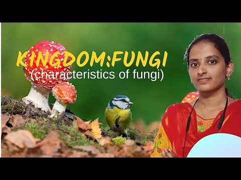 Kingdom fungi (characteristics of fungi) in Tamil.