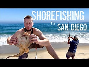 Shore Fishing in San Diego for Surf Species