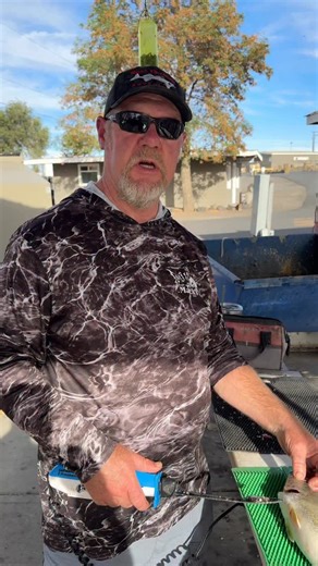 1.5K views · 37 reactions | Ever tried walleye cheeks?  Shelby Ross from Ross Outdoor Adventures breaks it down step by step, showing exactly how to cut them out clean and fast. Walleye cheeks are phenomenal eating!  #WalleyeFishing #FishingTips #CatchAndCook #FishingLife #RossOutdoorAdventures #FishingCommunity #OnTheWater #FishingDaily #FishOn #FishingReels | Addicted Fishing | Facebook