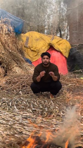 4.9M views · 36K reactions | Wandeh Series EP:1 Phari (smoked fishes) . . . #kashmir #kashmiri #kashmiris #kashmiriyat #kashmiriculture #kashmiripandits #kashmirifood #kashmirtourism #kashmirvalley #kashmirdairies #kashmirlovers #kashmirlife #kashmirbeauty #kashmiruniversity #srinagar #harissa #phari #fish #smokedfish #smokedfood #winterfood #winteriscoming #food #foodie #foodstories #foodgasm #reel #reels #reelsinstagram #viralreels | Sofi Inayat | Facebook