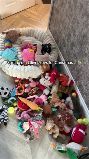 Sorting out olives toys! Christmas ready 🧸 🤶 🎄 #fyp #blowthisup #dogtoys #puppy #christmas