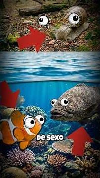 3 Animals That Change Sex! 😳