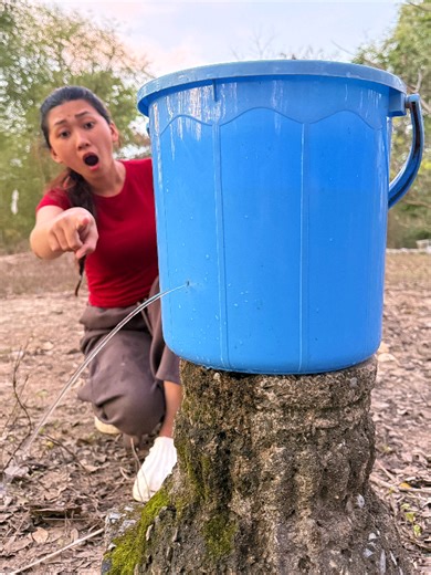 Innovative Camping Hacks You Need to Try