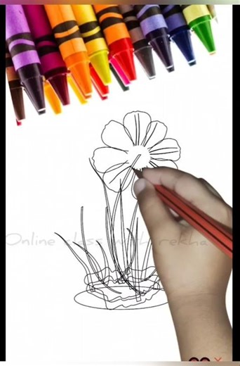 How to Draw a beauty full flower bunch in Whiteboard Animation - Beginner Tutorial #drwaing #art