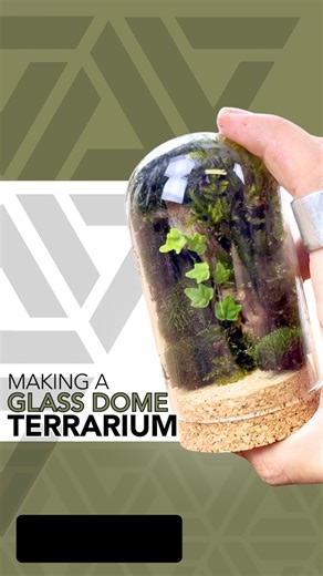 Here’s a tutorial on how I made this glass dome terrarium #terrarium #terrariumdesign #terrariumlove #terrariumdreams #moss #howto #diy #fyp #terrariumsofinstagram #portland #cactus #succulents #beaverton #pdx #plantshop #local #smallbusiness #plantsplantsplants #plants #plantsmakepeoplehappy #plantsoffacebook #tutorial | Johnathon Q Swanson
