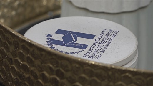 New Georgia bill aims to speed up licensing process | Here's what you need to know