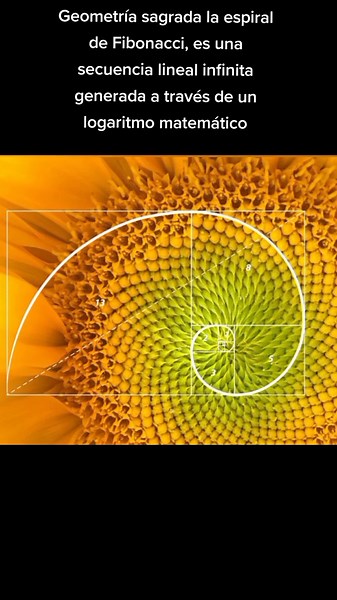La Espiral de Fibonacci: Matemáticas y Belleza
