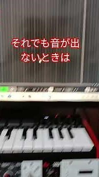 cubase初心者必見！メトロノームの音が出ない時は。#shorts #cubase #メトロノームの音が出ない #dtm