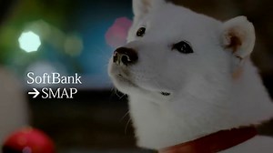 【CM】SoftBank特別為SMAP製作感謝CM感動萬千網民 (中字)