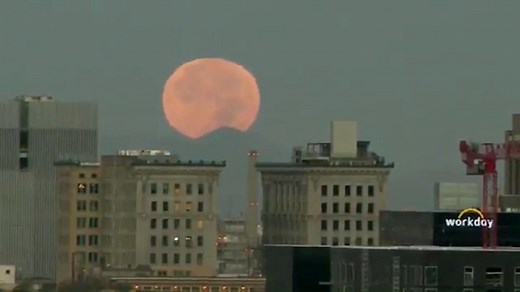 HALLOWEEN BLUE MOON: Here is when you can see the next full blue moons on Halloween: 2039, 2058, 2077, and 2096. PHOTOS: http://kutv.com/news/local/blue-moon-to-appear-in-the-sky-on-halloween-night | KUTV 2News
