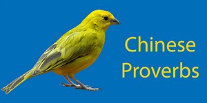 Chinese Proverbs || 9 Useful Sayings to Use Everyday