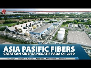 ASIA PASIFIC FIBERS CATATKAN KINERJA NEGATIF PADA Q1 2019