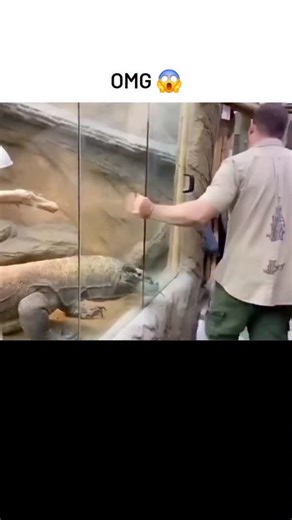 crazy & trending video on Instagram: "The post shares a 11-second AI-generated video simulating a Komodo dragon escaping its zoo enclosure and lunging at visitors, with realistic physics and crowd panic that fooled many into believing it was real. Posted by Nigerian social media manager @Official_Ogiis on December 4, 2025, it exploded to 15 million views and 21,000 likes, underscoring AI video's potential to drive massive engagement on platforms like X. Replies mix awe at the technology's progre