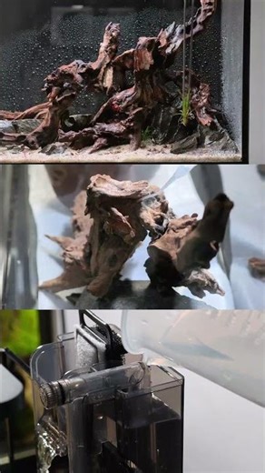 Best Aquarium on Amazon? You Decide!