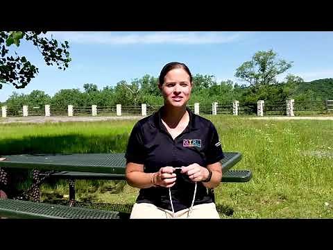 Girl Scout Activity Zone Juniors (Grades 4-5 ) - Camper Badge Activity: How To Tie 6 Essential Knots