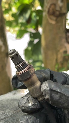 Cleaning the O2 Sensor