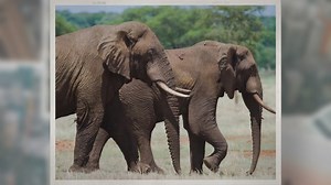 Top 3 Best African Countries to Visit