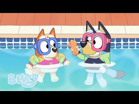 Las aventuras soleadas de Bluey ☀️ | Episodios completos | Bluey 💙 Español Canal Oficial 🇪🇸