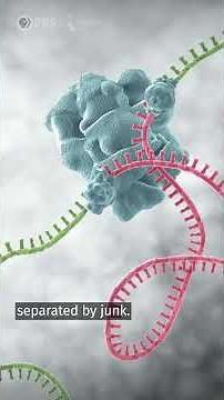 Phil Sharp's Dyslexic Discovery | Independent Lens Documentary | PBS