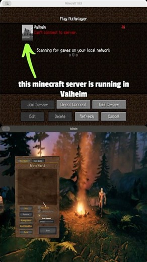 I made a minecraft server in Valheim