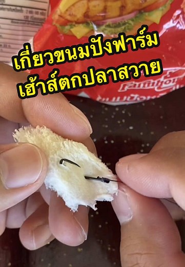 เทคนิคการตกปลาด้วยขนมปังฟาร์มเฮ้าส์