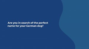 380+ of the Best Dog Names for your Wunderhund