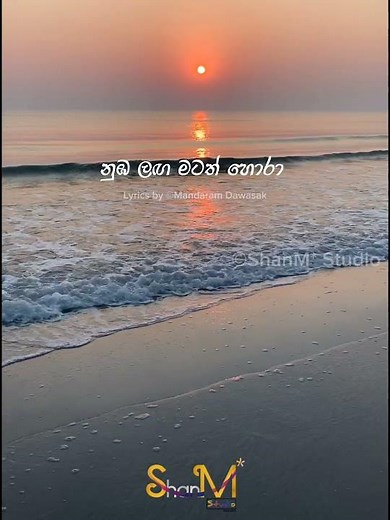 Tharuda Nidanni | Cover Song | #sinhalalyrics #lyricvideo #shorts #shanm #mandaramdawasak