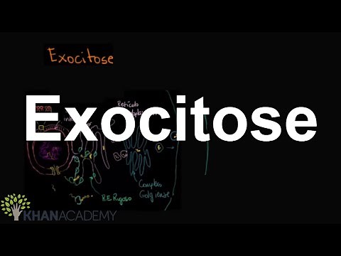 Exocytosis | Membranes and Transport | Biology | Khan Academy