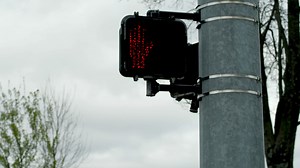 170 reactions · 4 comments | Texting and driving is just plain dangerous – for you and everyone you share the road with. Buckle up, and put the phone down. | Kentucky Office of Highway Safety | Facebook