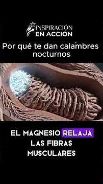 ¿por qué dan calambres en las piernas?#salud #consejos #curiosidades