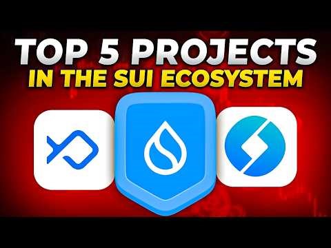 Top 5 Sui Ecosystem Projects 🚀 Best Crypto Projects on the Sui Blockchain