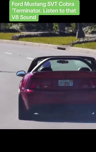Explore the Ford Mustang SVT Cobra Terminator V8 Sound