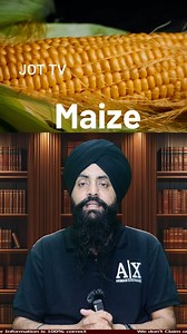 696K views · 8.8K reactions | Cereals in English: Learn the Names & Benefits #CerealsInEnglish #FoodVocabulary #HealthyGrains | JoT Tv Facts | Facebook