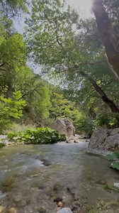 Turizmi rural në fshatrat e Vlorës vitet e fundit ka shënuar një zhvillim të menjëhershëm duke tërhequr vizitorë të pasionuar pas natyrës, historisë dhe traditave. | Agjencia Telegrafike Shqiptare